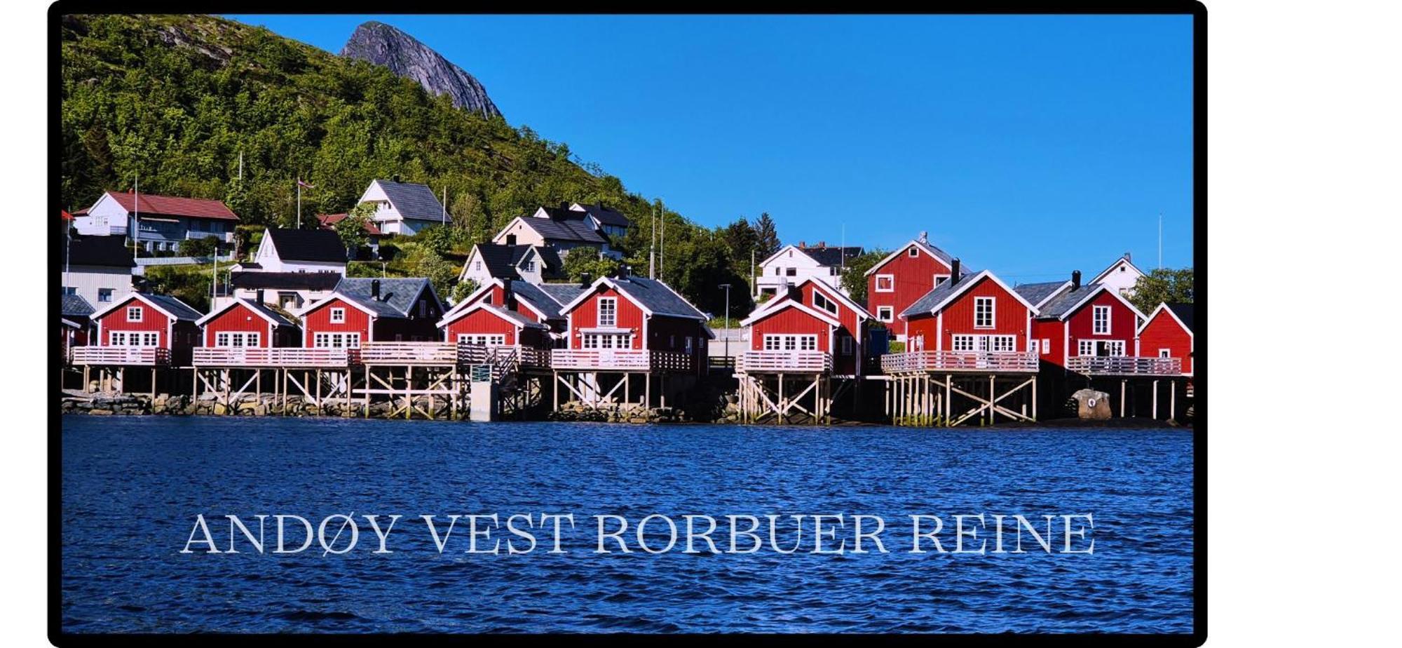 Andoy Vest Rorbuer Reine Villa Exterior photo